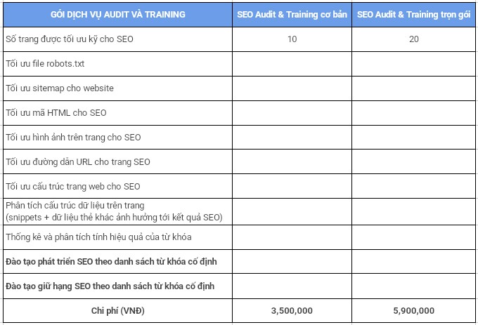 báo giá dịch vụ seo audit training